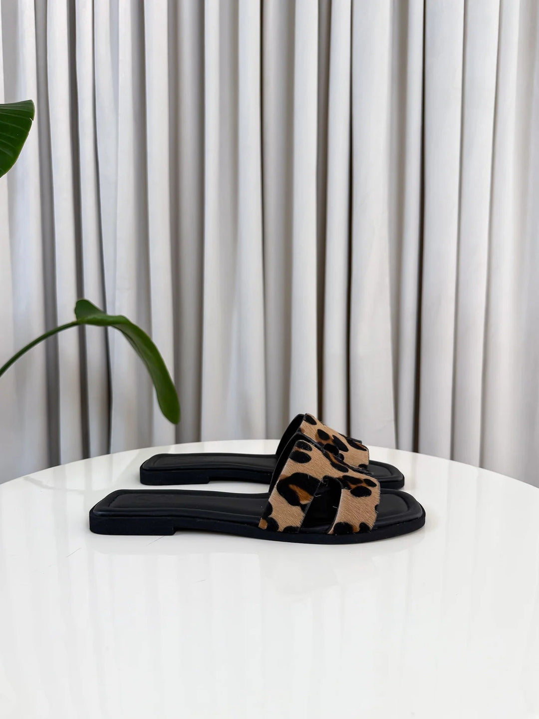 ARIS | LIMITED EDITION